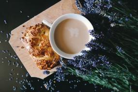 Bread Confectionery anb cacao