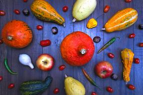 Decorative Pumpkins Orange wall