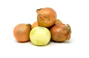 photo of organic onion on a white background