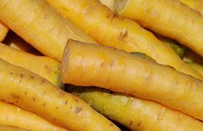 harvest of yellow carrots
