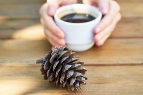 cup of hot coffee and a pine cone on the table