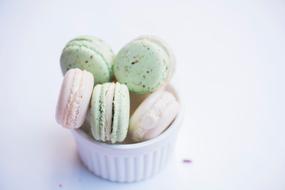 Pastel Macaroon