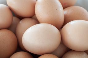 pile of brown chicken Eggs