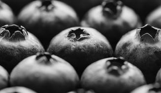 Antioxidant Background
