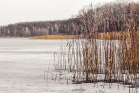 frozen lake in winter time