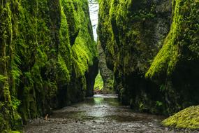 green Gorge Steep Valley