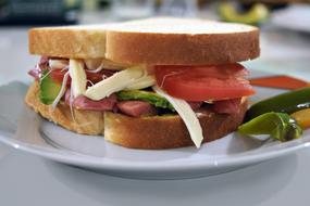 big Sandwich on a white plate close up