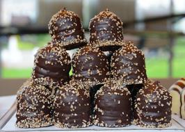 dainty Chocolate Marshmallows