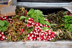 Radishes in Market Day