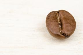 coffee bean on white