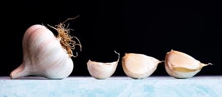 perfect Garlic Still Life