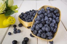 blueberry in basket