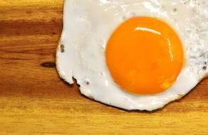 excellent Fried Egg Yolk Protein