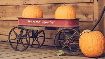 pumpkins on a vintage cart as a composition