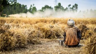 Farmer sitting among wheat on landscape