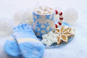 hot chocolate with marshmallows, Christmas cookies and blue mittens in the snow