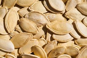 unpeeled Pumpkin Seeds, background