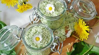 Salt Bear'S Garlic