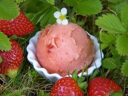 Strawberry Ice Cream and Strawberries