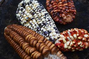 Corn with colorful seeds at dark background