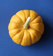 Grow Pumpkin yellow