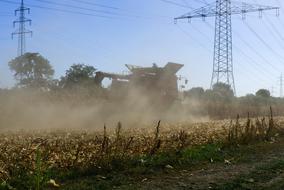 Corn Harvest car