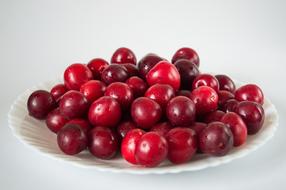 red Plum Fruits Sweet