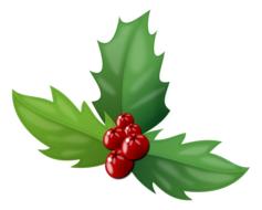 Red holly berries with green leaves at white background