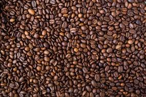 Coffee Bean Texture