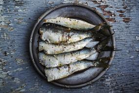 Sardines Fish Plated