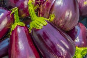 Eggplant, raw vegetables in pile close up