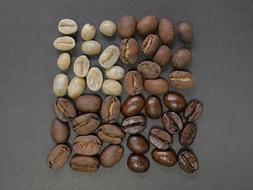 Coffee Beans Square