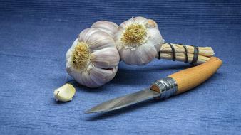 Garlic and knife