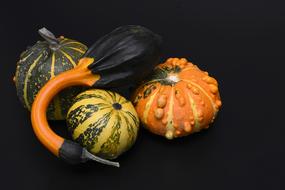 juicy Pumpkin Gourd decoration