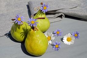 Pears Fruit and flowers as a still life