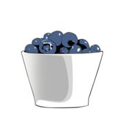 drawing of a vase with blue berries