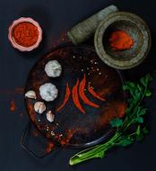 ground red pepper, garlic and herbs on the table
