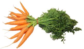 bunch of orange ccarrots