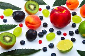 Colorful Fruits and green leaves at white background
