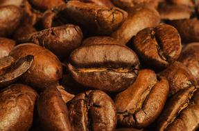 roasted coffee beans close up