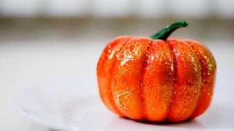 Pumpkin Food small