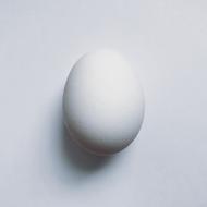 Egg Food Protein white