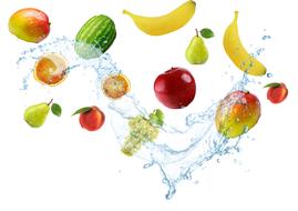 Fruit Food Domestic watre drawing
