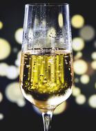 champagne in a glass on a blurred background