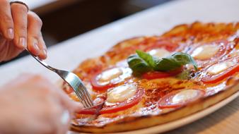 Pizza Vegetarian hand