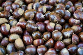 Baked Brown Chestnuts, background