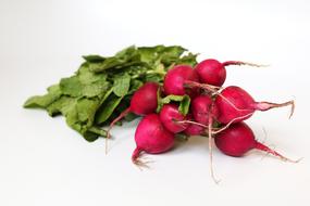 pink Radishes Vegetables