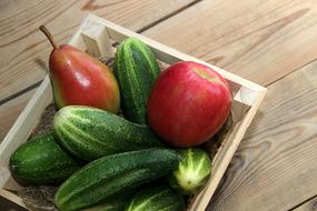 Harvest Garden