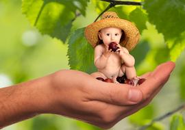 baby boy in wide hat eating fruit on male hand at greenery, collage