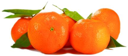 tasty Oranges, Isolated Fruits